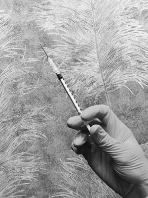 botox syringe black and white