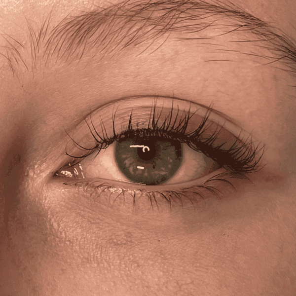 lashes_-3b.png