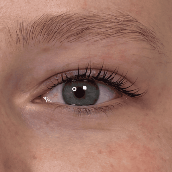 lashes_02b.png